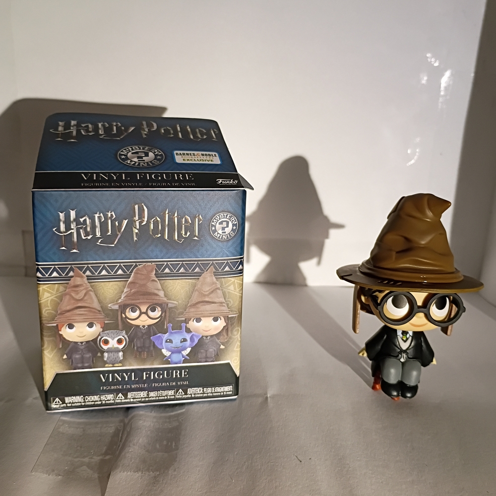 Funko Harry Potter Mystery Minis B&N Exclusive